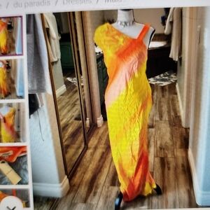 Anthropology Du Paradis sz S dress  NWT